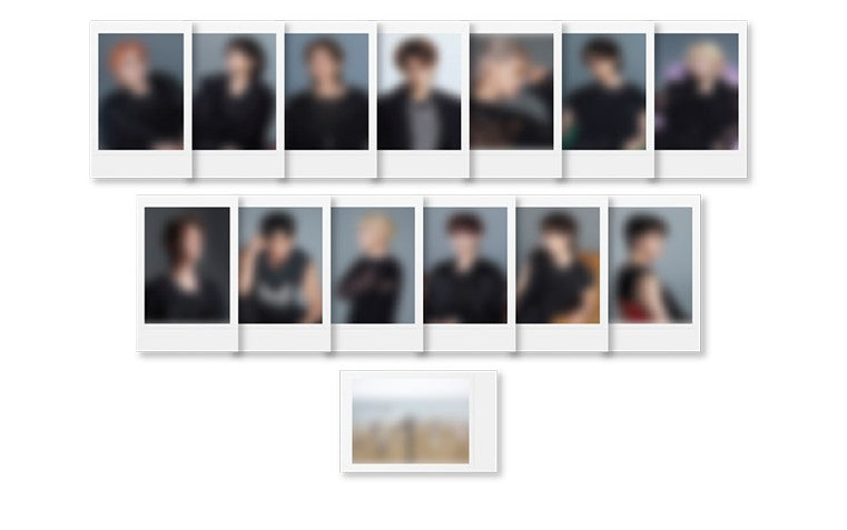 ONLY PHOTOCARD] SEVENTEEN - SPILL THE FEELS 12TH MINI ALBUM APPLE