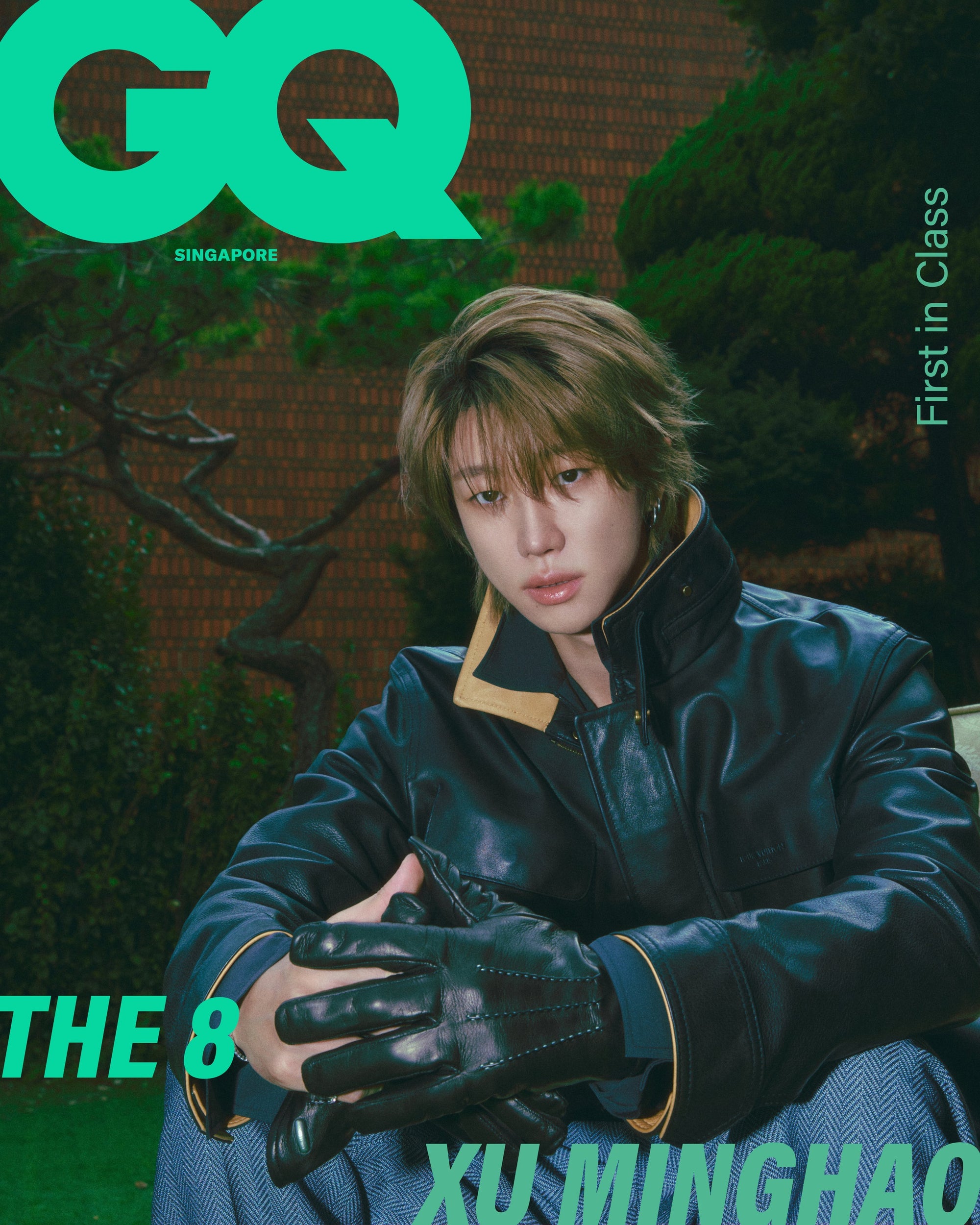 K-POP_SEVENTEEN | COKODIVE