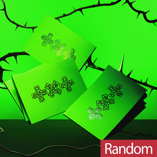 TXT - 7TH YEAR: A MOMENT OF STILLNESS IN THE THORNS 8TH MINI ALBUM ALADIN GIFT THORN VER RANDOM - COKODIVE