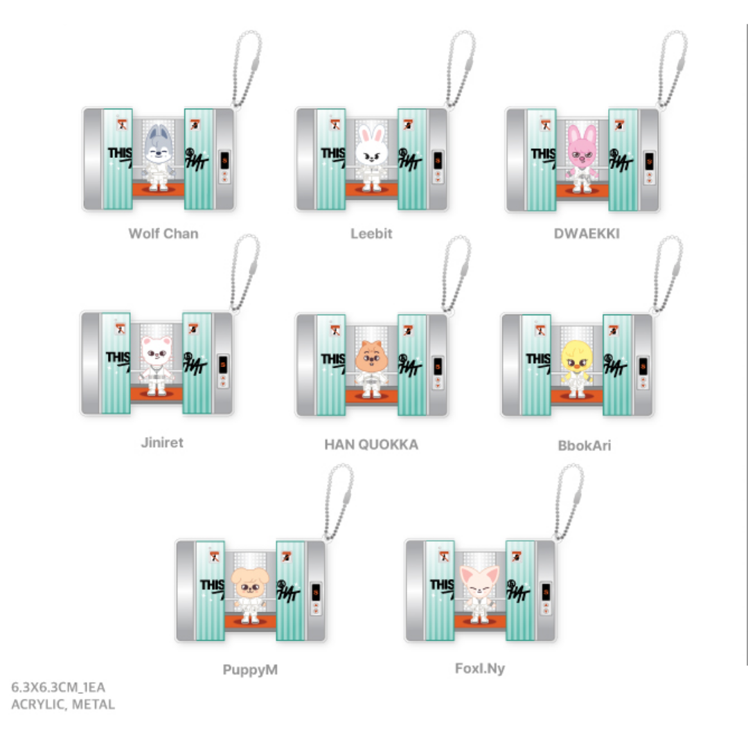 STRAY KIDS - THIS & THAT POP UP OFFICIAL MD SKZOO CAPSULE ACRYLIC KEYRING - COKODIVE