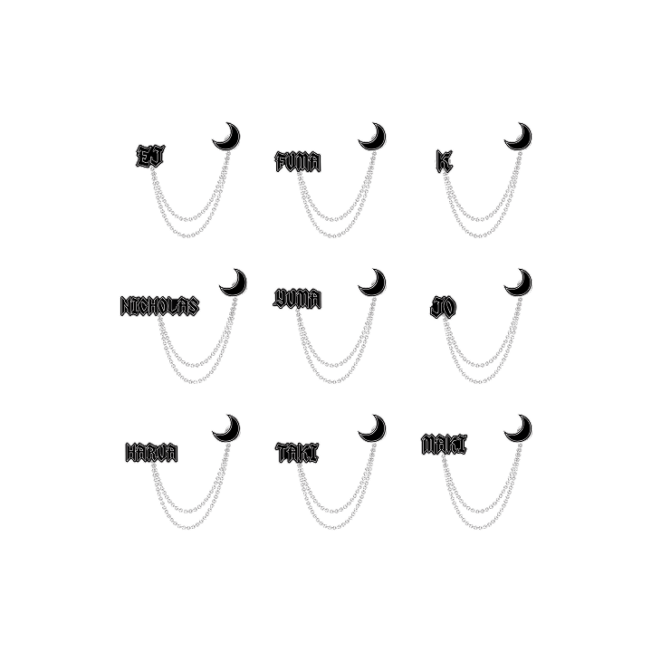 &TEAM - WE ON FIRE OFFICIAL MD CHAIN PINS - COKODIVE