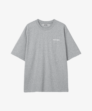 BOYNEXTDOOR - SAND SOUND CAPSULE COLLECTION OFFICIAL MD DOOR GRAPIC SHORT SLEEVE T SHIRTS GREY - COKODIVE