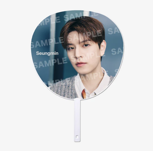 STRAY KIDS - RUN IT JAPAN WORLD TOUR OFFICIAL MD IMAGE PICKET