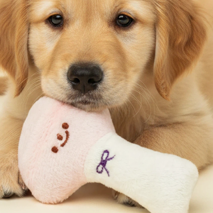 [FOR PET] LOLLIPOP SQUEAKY TOY - COKODIVE