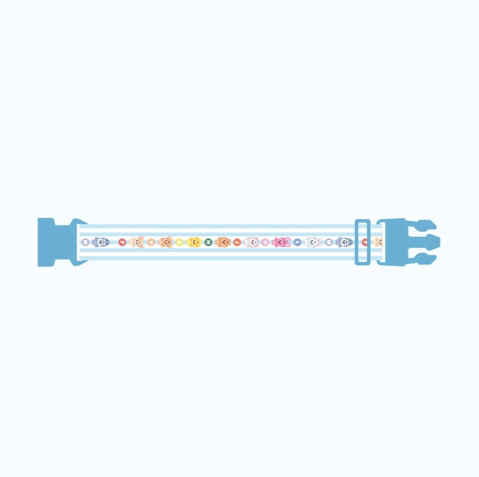 STRAY KIDS - SKZOO EVERYWHERE ALL AROUND THE WORLD GLOBAL POP UP OFFICIAL MD LUGGAGE STRAP - COKODIVE