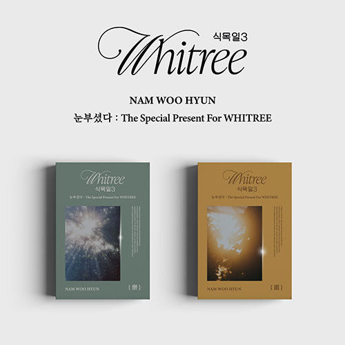 NAM WOOHYUN - THE SPECIAL PRESENT FOR WHITREE PHOTOBOOK RANDOM - COKODIVE