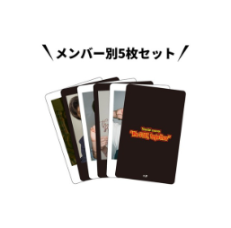 STRAY KIDS - WE STAY, TOGETHER EXHIBITON OFFICIAL MD ARCHIVE PHOTOCARD SET - COKODIVE