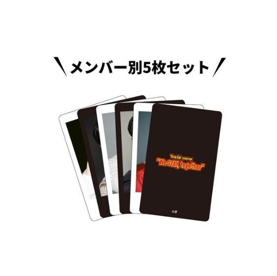 STRAY KIDS - WE STAY, TOGETHER EXHIBITON OFFICIAL MD ARCHIVE PHOTOCARD SET
