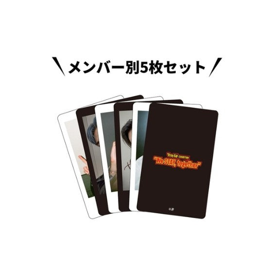 STRAY KIDS - WE STAY, TOGETHER EXHIBITON OFFICIAL MD ARCHIVE PHOTOCARD SET
