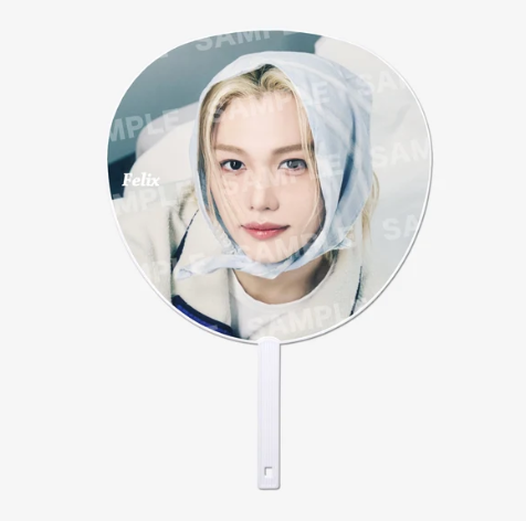 STRAY KIDS - RUN IT JAPAN WOURLD TOUR 2ND LINE UP OFFICIAL MD IMAGE PICKET (FELIX) - COKODIVE