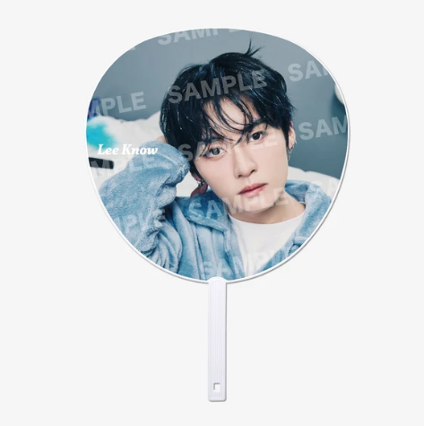 STRAY KIDS - RUN IT JAPAN WOURLD TOUR 2ND LINE UP OFFICIAL MD IMAGE PICKET (LEE KNOW) - COKODIVE