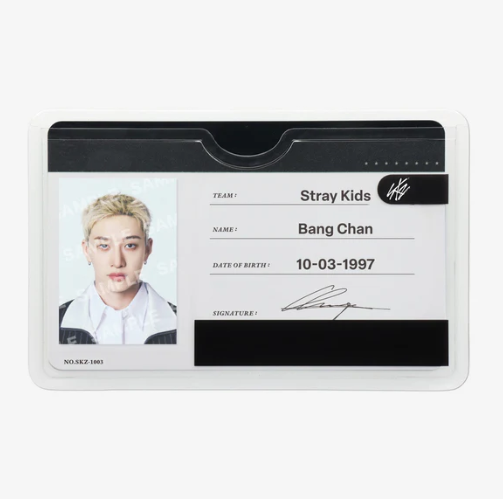 STRAY KIDS - RUN IT JAPAN WORLD TOUR OFFICIAL MD PROFILE CARD SET