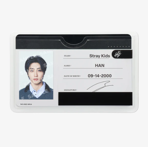 STRAY KIDS - RUN IT JAPAN WORLD TOUR OFFICIAL MD PROFILE CARD SET