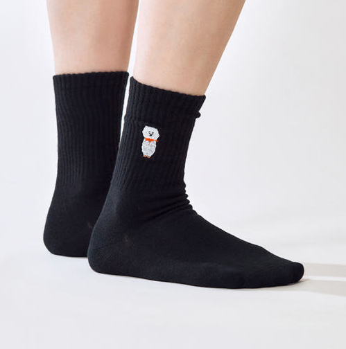 BT21 - BASIC RIB EMBROIDERY SOCKS - COKODIVE