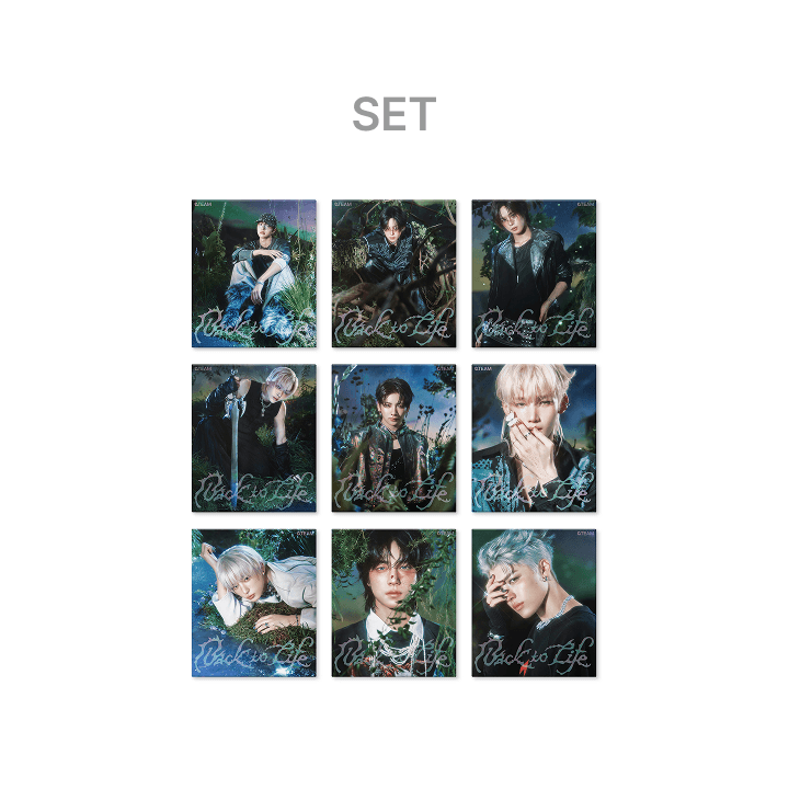 &TEAM - BACK TO LIFE KR 1ST MINI ALBUM WEVERSE SHOP GIFT ROAR VER SET - COKODIVE