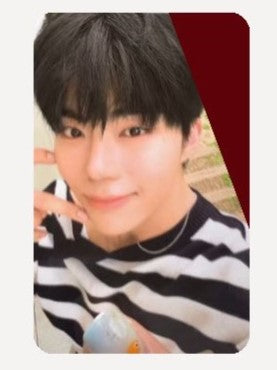 [ONLY PHOTOCARD] ZEROBASEONE - CINEMA PARADISE THE 4TH MINI ALBUM PHOTOBOOK - COKODIVE