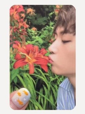 [ONLY PHOTOCARD] ZEROBASEONE - CINEMA PARADISE THE 4TH MINI ALBUM PHOTOBOOK - COKODIVE