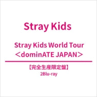 STRAY KIDS - DOMINATE JAPAN STRAY KIDS WORLD TOUR BLU-RAY HMV GIFT LIMITED EDITION - COKODIVE
