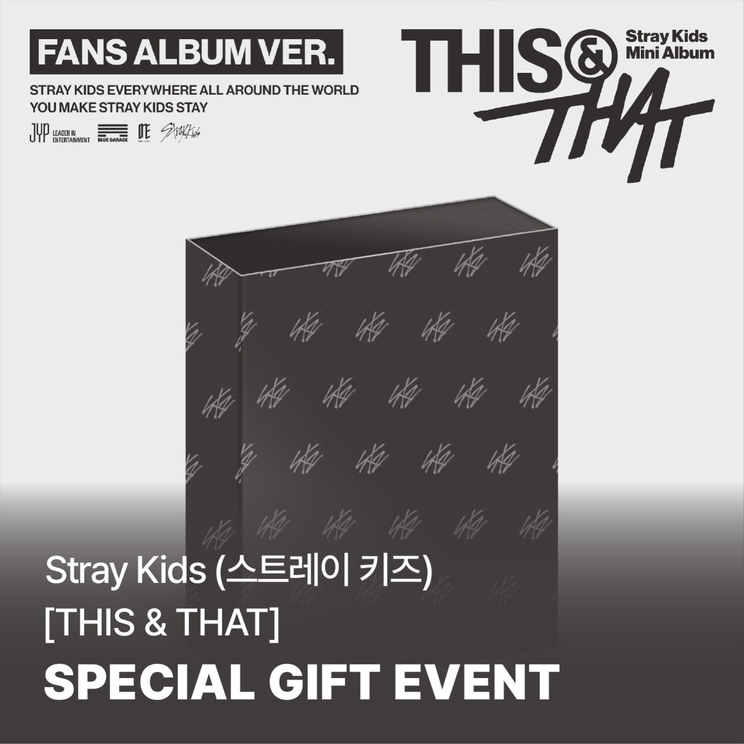 STRAY KIDS - THIS & THAT 10TH MINI ALBUM SOUNDWAVE GIFT FANS ALBUM VER - COKODIVE