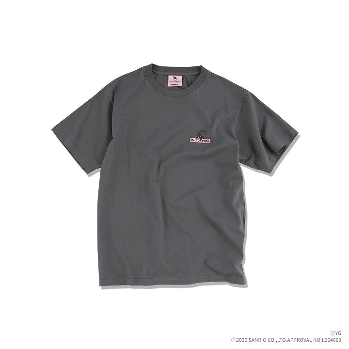 BLACKPINK - BLACKPINK X MY MELODY OFFICIAL MD T-SHIRT GRAY - COKODIVE