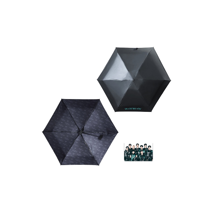 &TEAM - BLAZE THE WAY OFFICIAL MD UMBRELLA - COKODIVE
