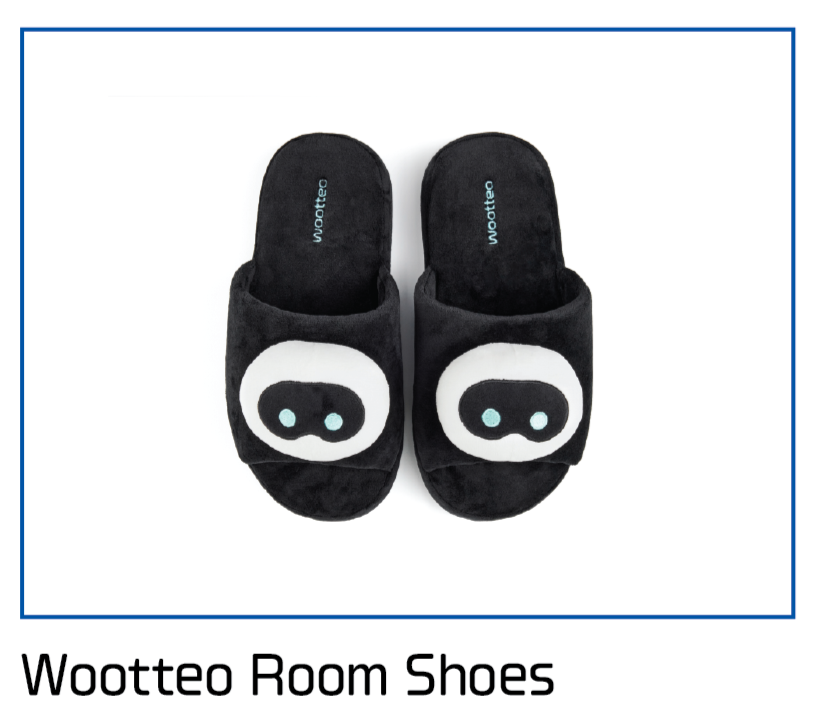 BTS JIN - HAPPY POP-UP : RUNNING WILD TO HAPPINESS OFFICIAL MD WOOTTEO ROOM SHOES - COKODIVE