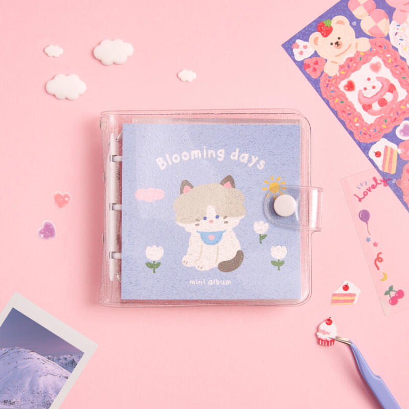 CAT TOPLOADER ALBUM - COKODIVE