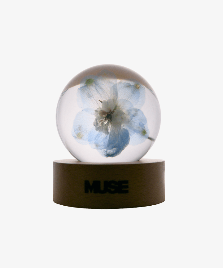 BTS JIMIN - SMERALDO GARDEN MUSE OFFICIAL MD PAPER WEIGHT - COKODIVE