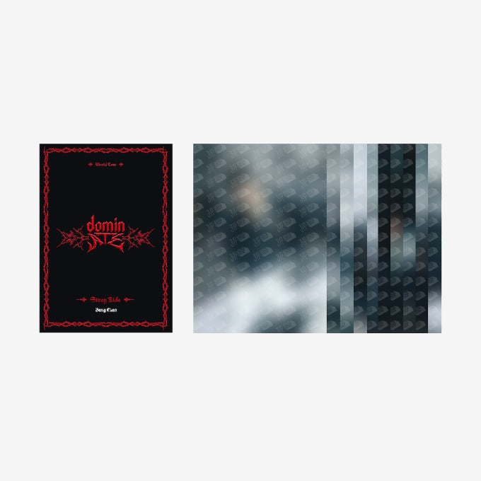 STRAY KIDS - dominATE SEOUL WORLD TOUR OFFICIAL MD POSTCARD BOOK - COKODIVE