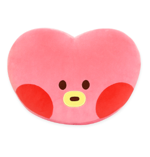 NARA HOME DECO CHARACTER MD BT21 MININI HAND WARMER CUSHION